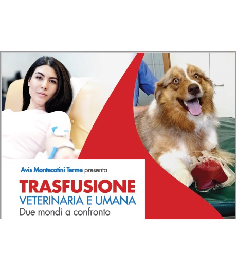 Trasfusione Veterinaria e Umana due Mondi a Confronto